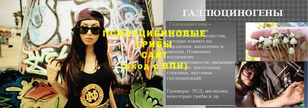 мескалин Богородицк