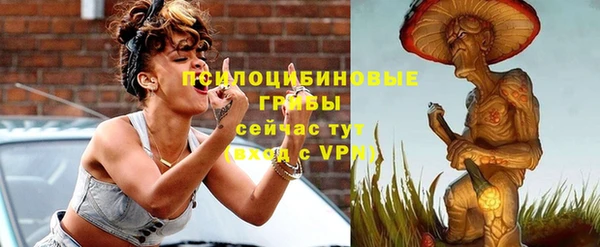 мескалин Богородицк