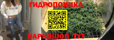 каннабис Будённовск